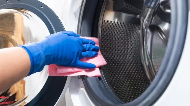 How to Clean Washing Machine Gaket with Bleach?