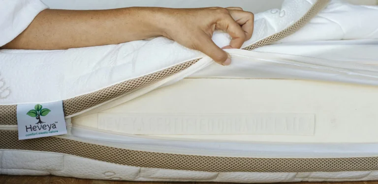 How Do You Get Bed Bugs Out of a Mattress?