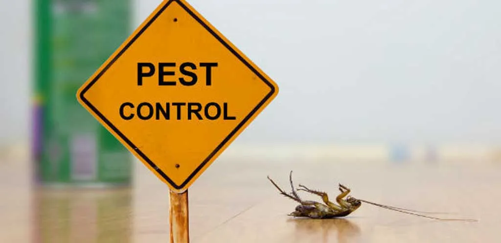 What is the Best Do it Yourself Pest Control?