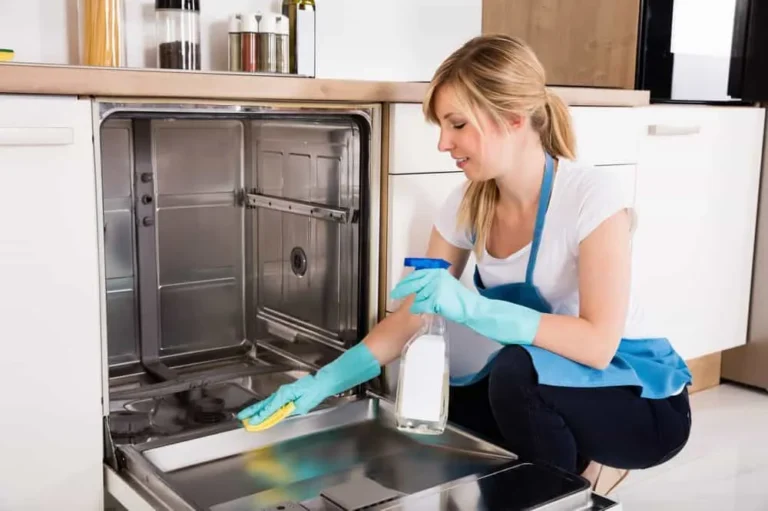 How to Clean a Dishwasher with Vinegar?