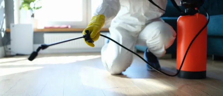 What is the Best Do-it-Yourself Pest Control?