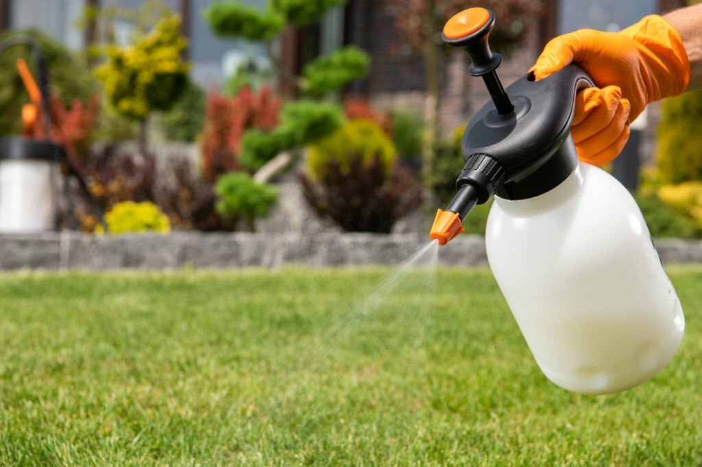 Best Weed Killer for Lawns